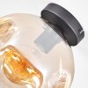 Ripoll Plafondlamp, Kogellampje Amber, Duidelijk, 1-licht