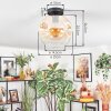Ripoll Plafondlamp, Kogellampje Amber, Duidelijk, 1-licht