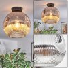 Ripoll Plafondlamp, Kogellampje Chroom, Duidelijk, Rookkleurig, 1-licht