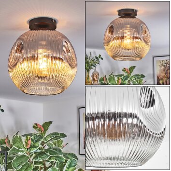 Ripoll Plafondlamp, Kogellampje Chroom, Duidelijk, Rookkleurig, 1-licht