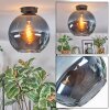 Koyoto Plafondlamp, Kogellampje 30 cm Blauw, 1-licht
