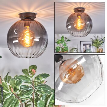 Koyoto Plafondlamp, Kogellampje 30 cm Duidelijk, Rookkleurig, 1-licht