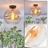 Koyoto Plafondlamp, Kogellampje 30 cm Amber, Duidelijk, 1-licht