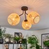 Basto Plafondlamp, Kogellampje Natuurlijke kleuren, 3-lichts