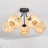 Basto Plafondlamp, Kogellampje Natuurlijke kleuren, 5-lichts