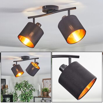 Alsen Plafondlamp, Plafondspot Zwart, 2-lichts