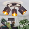 Alsen Plafondlamp, Plafondspot Zwart, 3-lichts