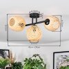 Basto Plafondlamp, Kogellampje Natuurlijke kleuren, 3-lichts