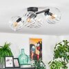 Koyoto Plafondlamp, Kogellampje Duidelijk, 4-lichts