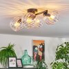 Koyoto Plafondlamp, Kogellampje Duidelijk, 4-lichts
