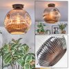 Ripoll Plafondlamp, Kogellampje Chroom, Rookkleurig, 1-licht