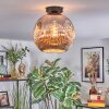 Ripoll Plafondlamp, Kogellampje Chroom, Rookkleurig, 1-licht