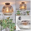 Ripoll Plafondlamp, Kogellampje Duidelijk, Rookkleurig, 1-licht