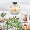 Ripoll Plafondlamp, Kogellampje Amber, Duidelijk, 1-licht
