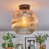 Ripoll Plafondlamp, Kogellampje Amber, Duidelijk, 1-licht
