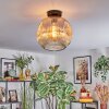 Ripoll Plafondlamp, Kogellampje Amber, Duidelijk, 1-licht