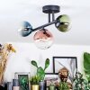Chehalis Plafondlamp, Kogellampje Blauw, Groen, Duidelijk, Koperkleurig, 3-lichts