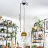 Koyoto Hanglamp, Kogellampje, Hanglamp 20 cm Goud, Duidelijk, 1-licht