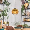 Koyoto Hanglamp, Kogellampje, Hanglamp 20 cm Goud, Duidelijk, 1-licht
