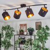 Alsen Plafondlamp, Plafondspot Zwart, 4-lichts