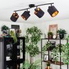 Alsen Plafondlamp, Plafondspot Zwart, 4-lichts