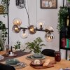 Gastor Hanglamp, Kogellampje, Hanglamp Amber, Duidelijk, Rookkleurig, 8-lichts