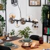 Gastor Hanglamp, Kogellampje, Hanglamp Amber, Duidelijk, Rookkleurig, 8-lichts