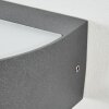 Duron Wandlamp voor buiten, Licht omhoog & omlaag, Wandlamp LED Antraciet, 1-licht
