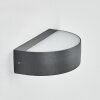 Duron Wandlamp voor buiten, Licht omhoog & omlaag, Wandlamp LED Antraciet, 1-licht