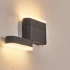 Fanek Wandlamp voor buiten, Licht omhoog & omlaag, Wandlamp LED Antraciet, 2-lichts