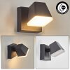 Fanel Wandlamp voor buiten, Wandlamp, Muurspot LED Antraciet, 1-licht
