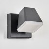 Fanel Wandlamp voor buiten, Wandlamp, Muurspot LED Antraciet, 1-licht
