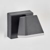 Fanel Wandlamp voor buiten, Wandlamp, Muurspot LED Antraciet, 1-licht