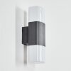 Felor Wandlamp voor buiten, Licht omhoog & omlaag, Wandlamp LED Antraciet, 2-lichts