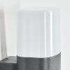 Felor Wandlamp voor buiten, Licht omhoog & omlaag, Wandlamp LED Antraciet, 2-lichts