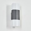 Felor Wandlamp voor buiten, Licht omhoog & omlaag, Wandlamp LED Antraciet, 2-lichts