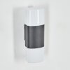 Felor Wandlamp voor buiten, Licht omhoog & omlaag, Wandlamp LED Antraciet, 2-lichts