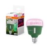 Osram E27 20 Watt 650 Lumen