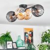 Koyoto Plafondlamp, Kogellampje Amber, Rookkleurig, 4-lichts