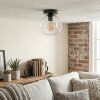 Ripoll Plafondlamp, Kogellampje Duidelijk, 1-licht