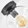 Ripoll Plafondlamp, Kogellampje Duidelijk, 1-licht