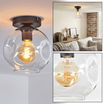 Ripoll Plafondlamp, Kogellampje Duidelijk, 1-licht