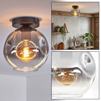 Ripoll Plafondlamp, Kogellampje Duidelijk, Rookkleurig, 1-licht