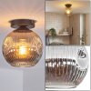 Ripoll Plafondlamp, Kogellampje Rookkleurig, 1-licht