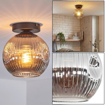Ripoll Plafondlamp, Kogellampje Rookkleurig, 1-licht