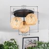 Basto Plafondlamp, Kogellampje Natuurlijke kleuren, 3-lichts