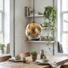 Ripoll Hanglamp, Kogellampje, Hanglamp Goud, Duidelijk, 1-licht