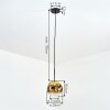 Ripoll Hanglamp, Kogellampje, Hanglamp Goud, Duidelijk, 1-licht