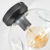 Ripoll Plafondlamp, Kogellampje Duidelijk, 1-licht