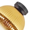 Koyoto Plafondlamp, Kogellampje 25 cm Goud, Duidelijk, 1-licht